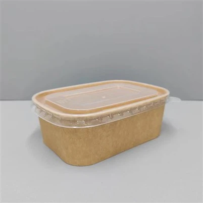 کاسه های کاغذی مستطیلی